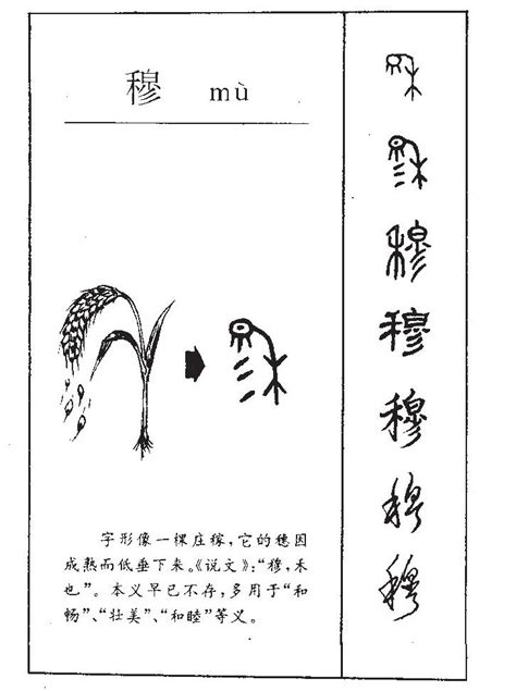 穆 五行|「穆康熙字典笔画」穆字五行属什么,穆字起名的寓意含义